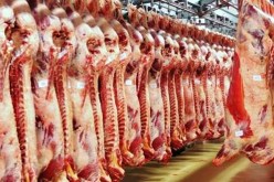 استيــراد لحــم الغنــمي.. ممنوع »