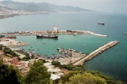 وكلاء بيع السمك يشلون ميناء مستغانم