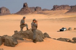 توقيف 18 مهربا من جنسيات إفريقية مختلفة بجنوب البلاد