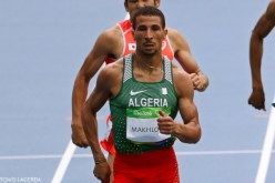 بالفيديو مخلوفي يوجه الضربة القاضية للمسؤولين الرياضيين الجزائريين
