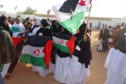الإعلام الدولي يسلط الضوء على قضية الصحراء الغربية المحتلة وكفاحها من أجل تقرير مصيرها