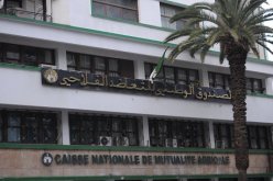 أزيد من 56 مليون د.ج لتعويض فلاحين متضررين من تساقط البرد وحرائق في المحاصيل بسوق أهراس