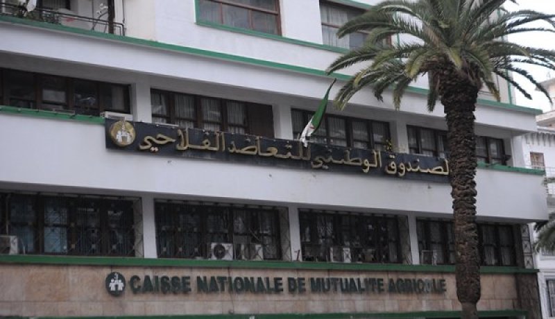 أزيد من 56 مليون د.ج لتعويض فلاحين متضررين من تساقط البرد وحرائق في المحاصيل بسوق أهراس