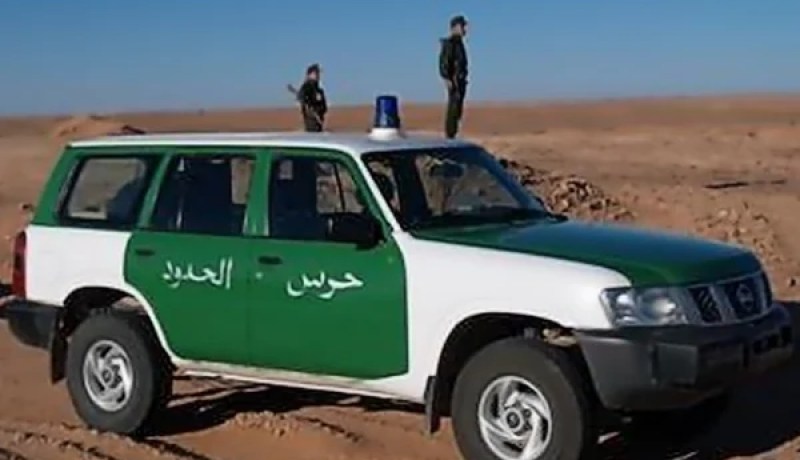 حجز 45 رأس غنم و600 لتر من الوقود موجهة لتهريب