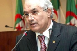 وزير الداخلية نسبة المشاركة 51.70 في الانتخابات الرئاسية