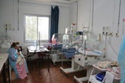 فيروس مصدره الكلاب و القطط يضرب عشرات الأطفال بتلمسان