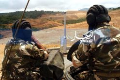 توقيف عنصري دعم للجماعات الإرهابية بقسنطينة