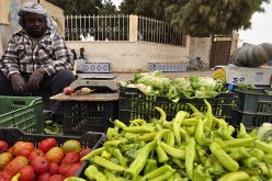 تجّار الخضر والفواكه يحتجّون أمام المقرّ القديم لبلدية حاسي بحبح في الجلفة