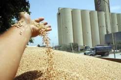 زيـــادات بـ30 مــن المائــة فــي أجــور عمــال ديـــوان الحبــوب قبــل 2011