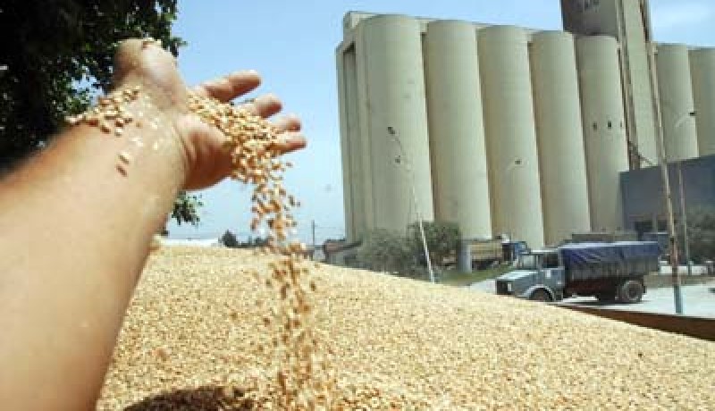 التوظيف بالوراثة في مطاحن سيبوس
