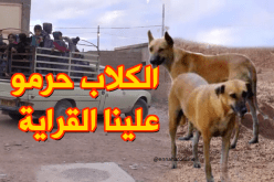 سكان بنيلي بالجلفة يشتكون العزلة والكلاب الضالة
