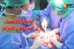 بالفيديو.. التبرع بالأعضاء من الميت إلى الحي أصبح ممكن