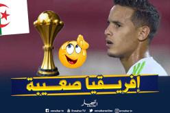 زفان: “هذه هي أهدافنا في “كان” مصر”