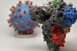 دولة عربية تشتبه في إصابة 4 أشخاص بكورونا المتحور