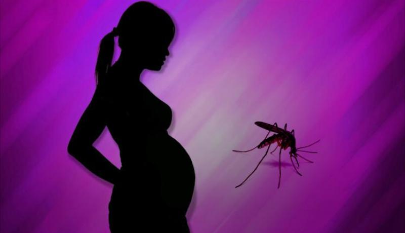 أكثر من 5000 امرأة حامل مصابة بفيروس زيكا في كولومبيا