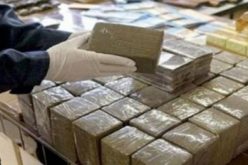 توقيف سيدتين وحجز كمية من “الزطلة” بعين تيموشنت