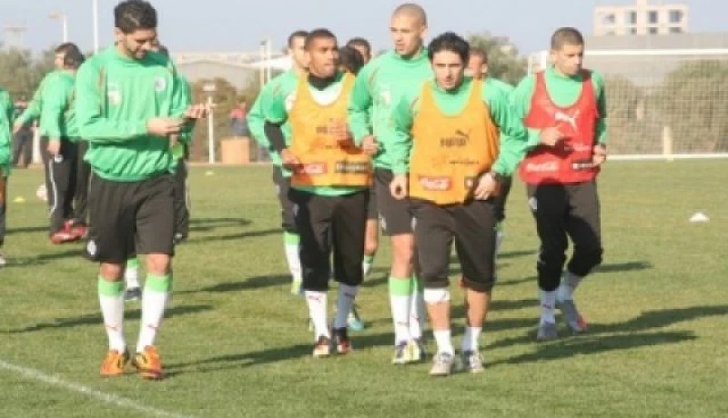 ء16 لاعب في صفوف فريق الخضر حضروا التدريبات