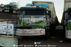 وصول قافلة المساعدات الإنسانية إلى ليبيا