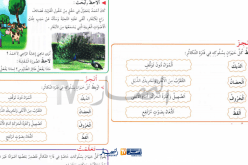 منظمة حماية المستهلك تدعو لتغيير المنظومة التربوية بسبب درس عن “التكاثر”