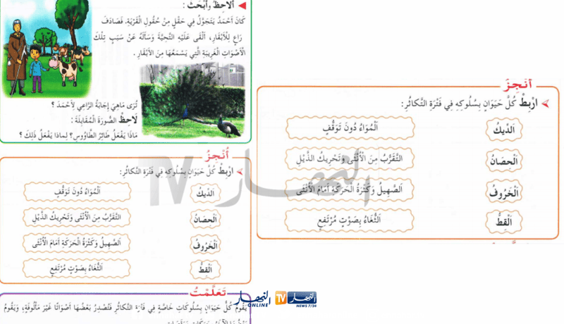 منظمة حماية المستهلك تدعو لتغيير المنظومة التربوية بسبب درس عن “التكاثر”