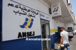 «3 آلاف هكتار لشباب أونساج وكناك لإنشاء مـؤسساتهم»