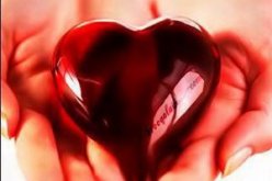 النهار تساعدك على إيجاد نصفك الثاني