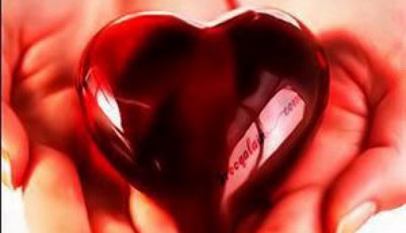 النهار تساعدك على إيجاد نصفك الثاني