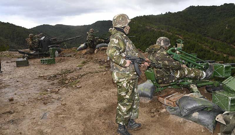 الجيش.. توقيف 50 بارون مخدرات و24 طن خليط خام الذهب والحجارة من 10 إلى 16 فيفري