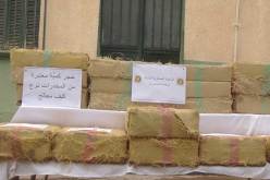توقيف 34 بارون مخدرات وحجز 15 قنطار “زطلة” قادمة من المغرب