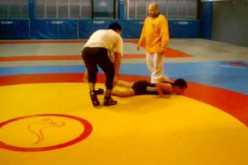 فريق الشرطة‮ ‬يفوز بدورة المصارعة