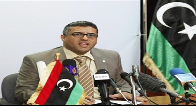 الوزير فوزي عبد العال: وزارة الداخلية الليبية تضم 8000 من المسلحين المتمردين على النظام السابق