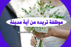  أحلم بشريك يشق معي الطريق ويكون لي رفيقا