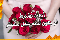 لأن أقلهن مهرا أكثرهن بركة… فلن أشترط ما يثقل كاهلك