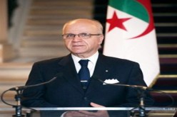مدلسي: الجزائر تؤيد حلا سياسيا  للوضع في شمال مالي