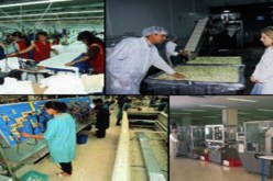 5330 منصب جديد بقطاع التكوين المهني في  بسكرة