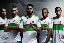 الخضر يدخلون بالبدلة البيضاء أمام غامبيا