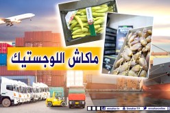 غياب الشبكة اللوجستيكية وتكاليف الشحن أكبر عائق للتصدير