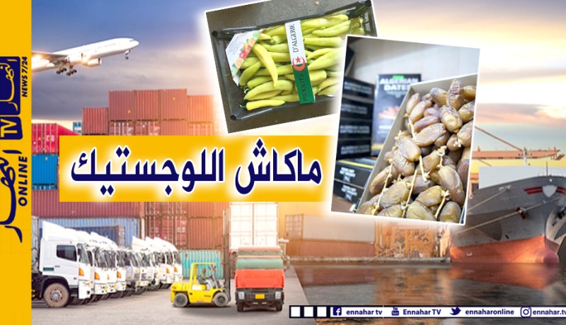 غياب الشبكة اللوجستيكية وتكاليف الشحن أكبر عائق للتصدير