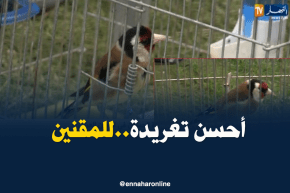 الطارف: أول دورة لتغريدة طائر الحسون في الوطن العربي
