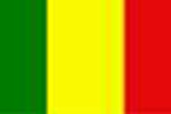 47 قتيلا في معارك بين متمردين طوارق و الجيش في مالي