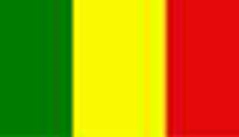 47 قتيلا في معارك بين متمردين طوارق و الجيش في مالي