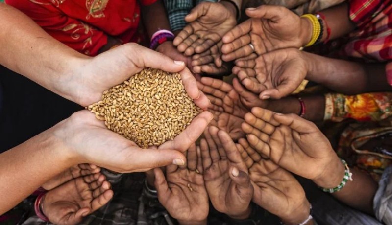 124 مليون شخص عانوا من إنعدام الأمن الغذائي الحاد خلال 2017 