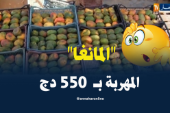 إرتفاع في أسعار فاكهة “المانغا” المهربة بأدرار