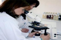 جزائريات يحققن أكثر من نصف المشاريع المصغرة منذ 2005  بالجزائر