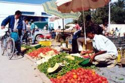 إعادة الاعتبار لعدة أسواق الجوارية منها و الجملة