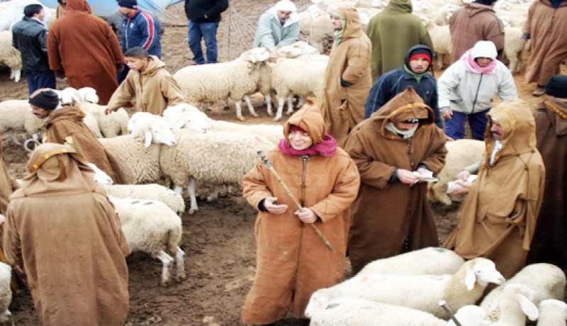 البطاقة المغناطيسية لشراء كبش العيد مستقبلا