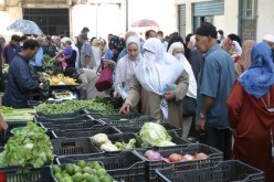 دواوين للحوم والخضر وتفعيل المساحات الكبرى والتعاونيات لحماية القدرة الشرائية