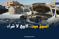 أسعار السيارات المستعملة تستقر..وعمليات البيع والشراء الغائب الأكبر