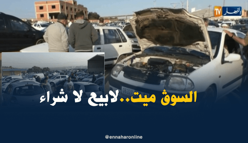 أسعار السيارات المستعملة تستقر..وعمليات البيع والشراء الغائب الأكبر