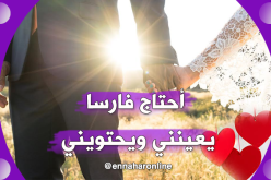 محامية جميلة ترافع لكسر قضبان الروتين      